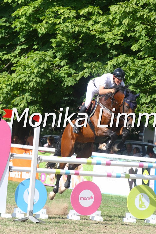 308M3811_Lacox_Springpferde Mx.JPG